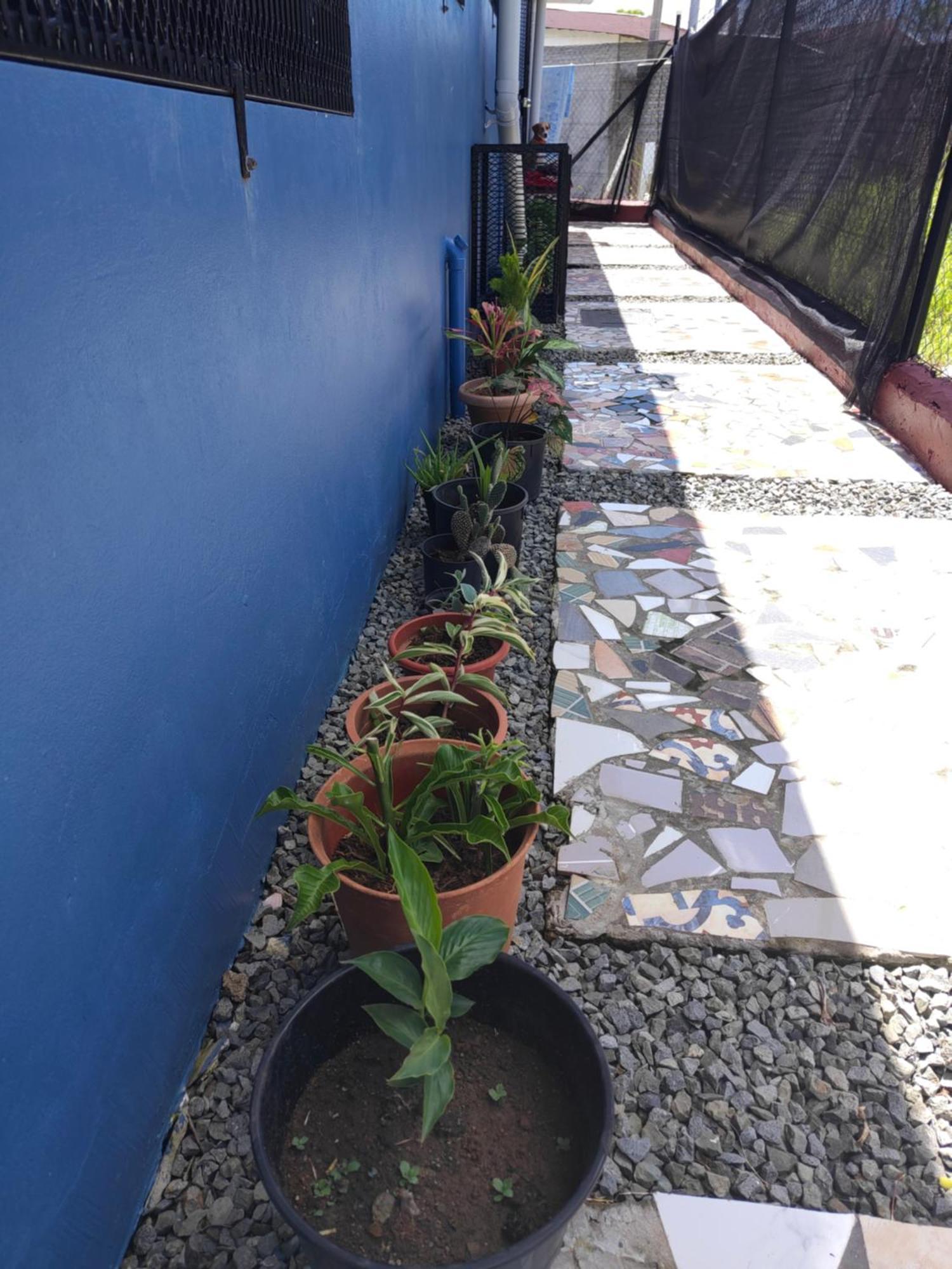 Peace Hut Hotel Nadi Ngoại thất bức ảnh